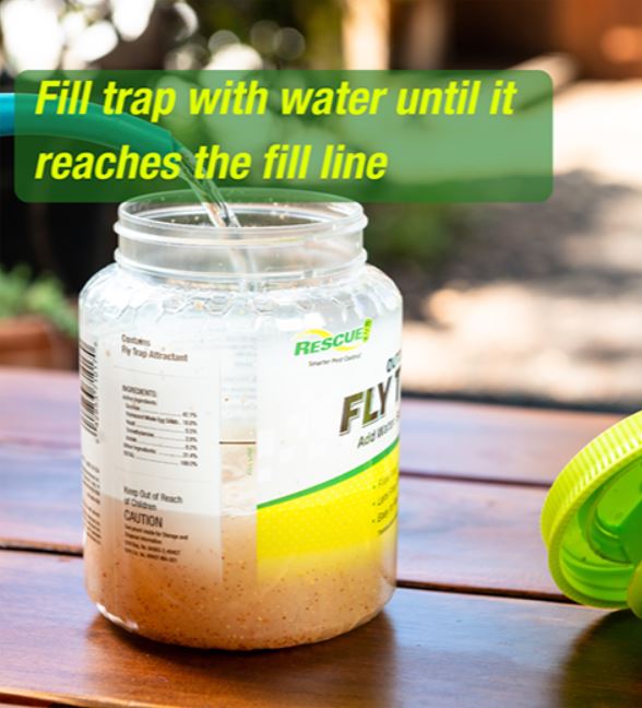 Reusable Fly bag trap with bait packet