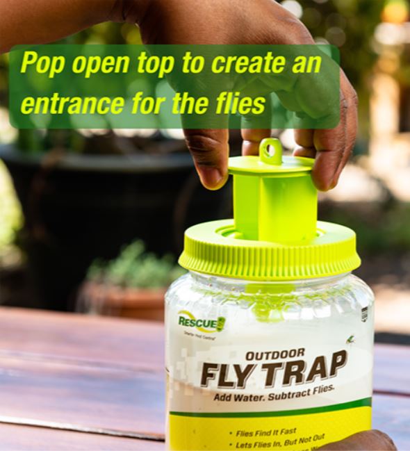 Reusable Fly bag trap with bait packet