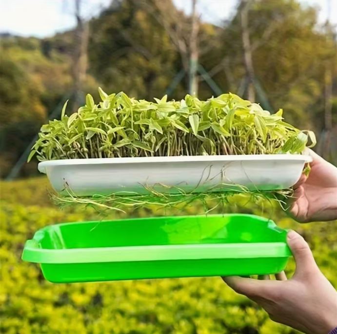 Portable Microgreen Tray